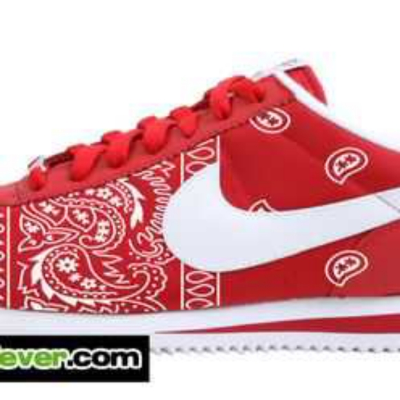 Nike 504ortez 👌🏼 - Picture 5 of 8